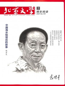 北京文學(xué)
