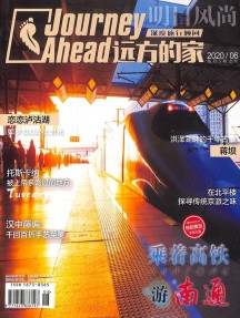 遠(yuǎn)方的家雜志