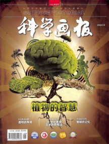 科學(xué)畫報(bào)