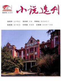 小說(shuō)選刊