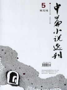 中篇小說(shuō)選刊
